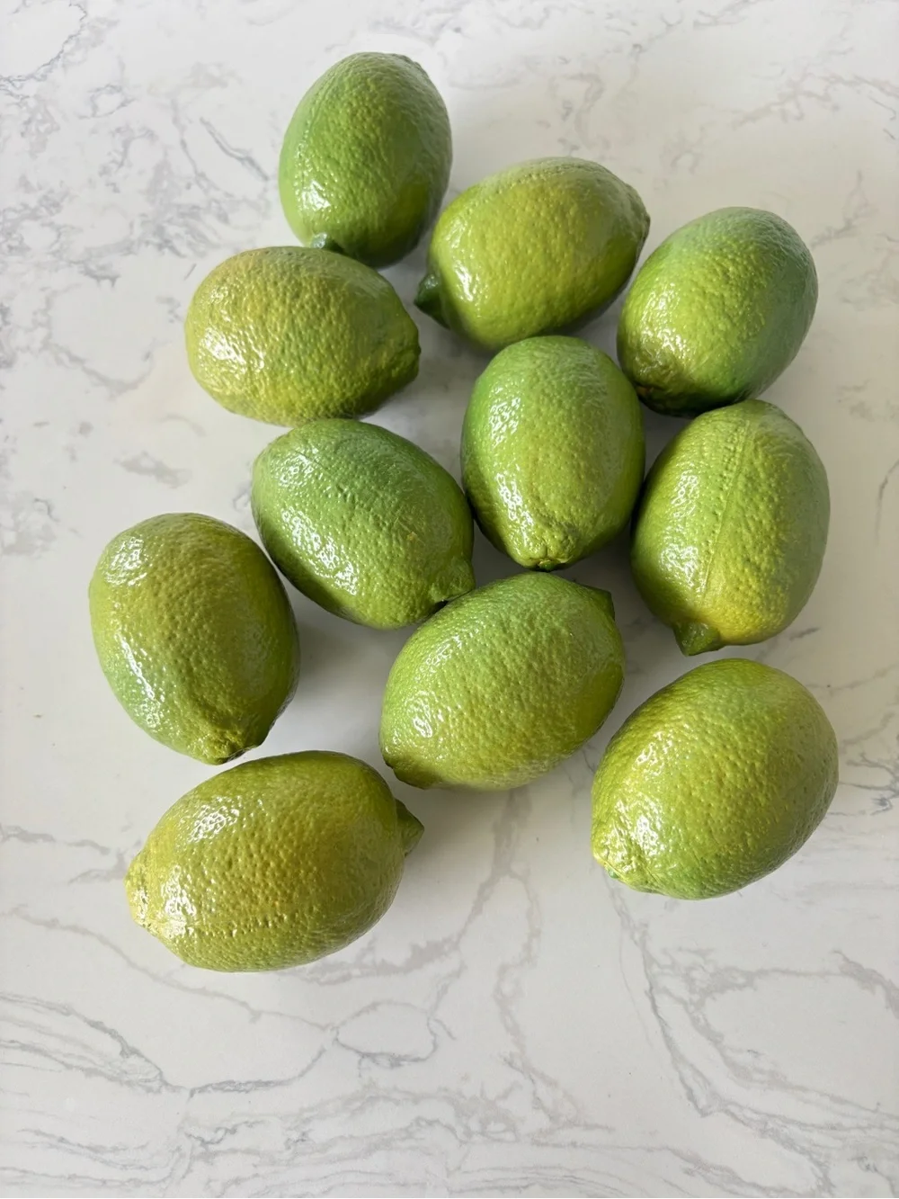 Set of 10 artificial limes